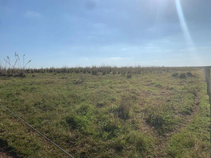 Fazenda à venda de 450 ha em Marília, SP, Brasil