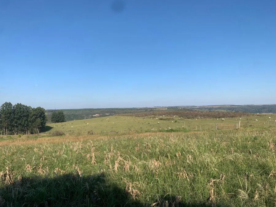 Fazenda à venda de 450 ha em Marília, SP, Brasil