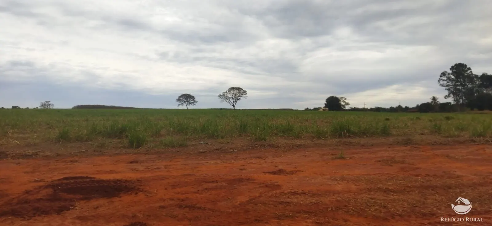 Farm for sale of 354,013 acres in Frutal, MG, Brazil