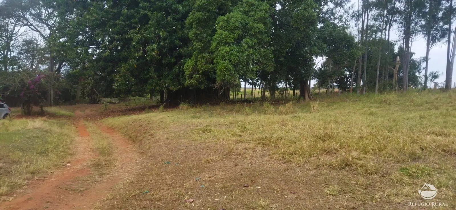 Farm for sale of 354,013 acres in Frutal, MG, Brazil