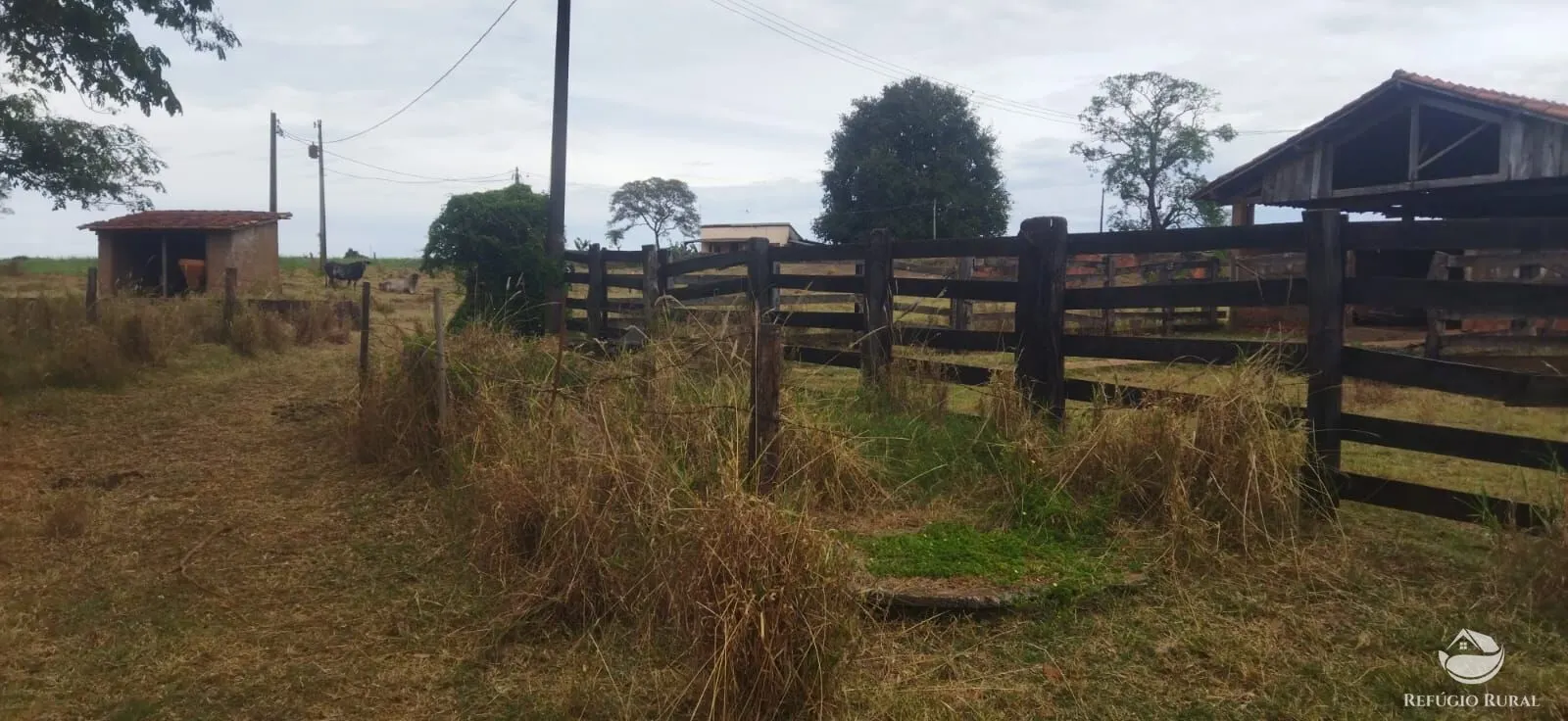 Farm for sale of 354,013 acres in Frutal, MG, Brazil