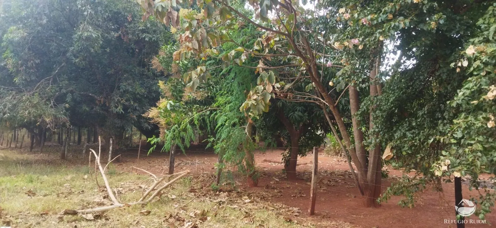 Farm for sale of 354,013 acres in Frutal, MG, Brazil