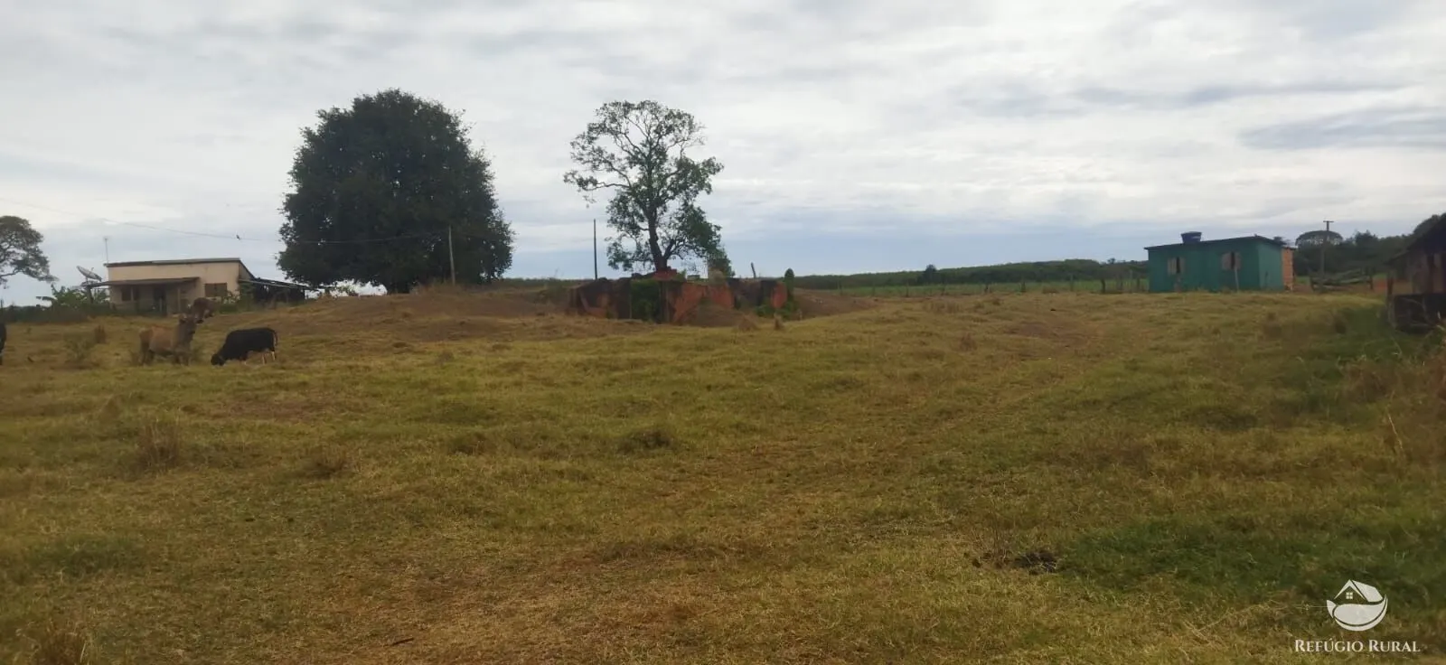 Farm for sale of 354,013 acres in Frutal, MG, Brazil