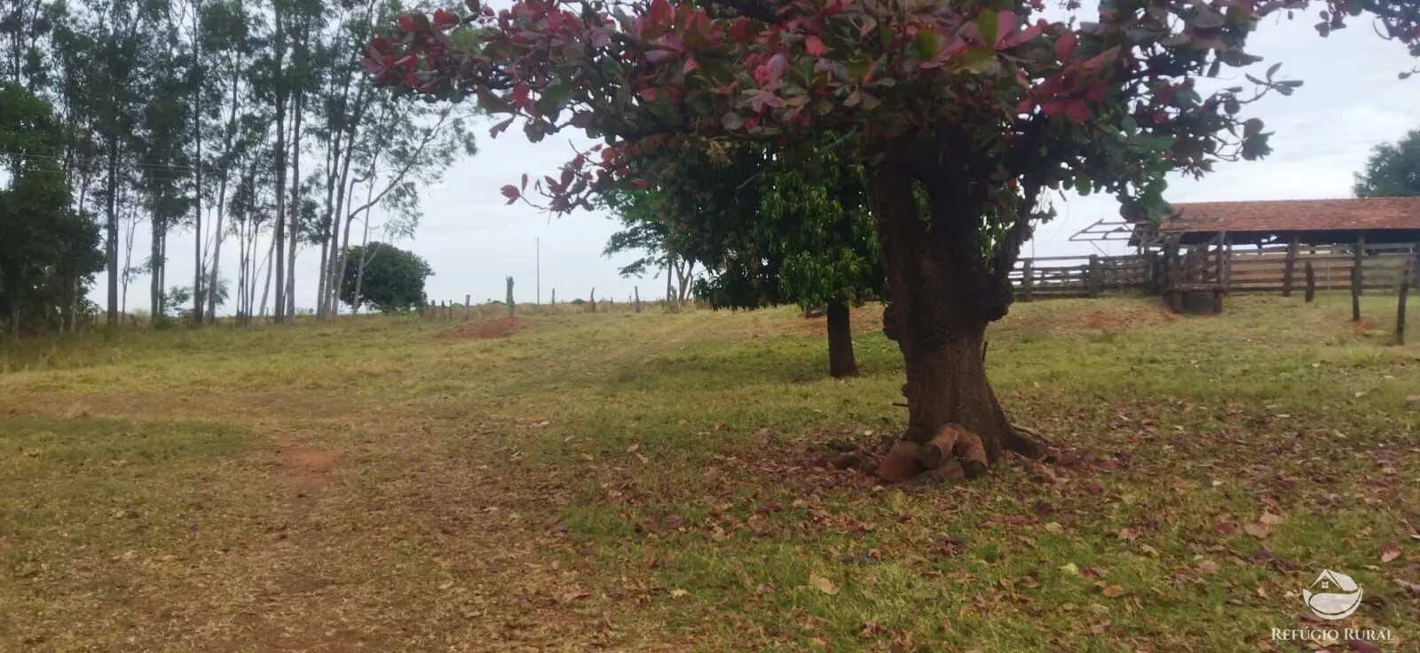 Farm for sale of 354,013 acres in Frutal, MG, Brazil