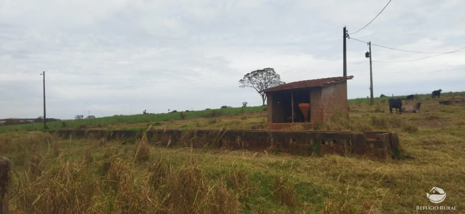 Farm for sale of 354,013 acres in Frutal, MG, Brazil
