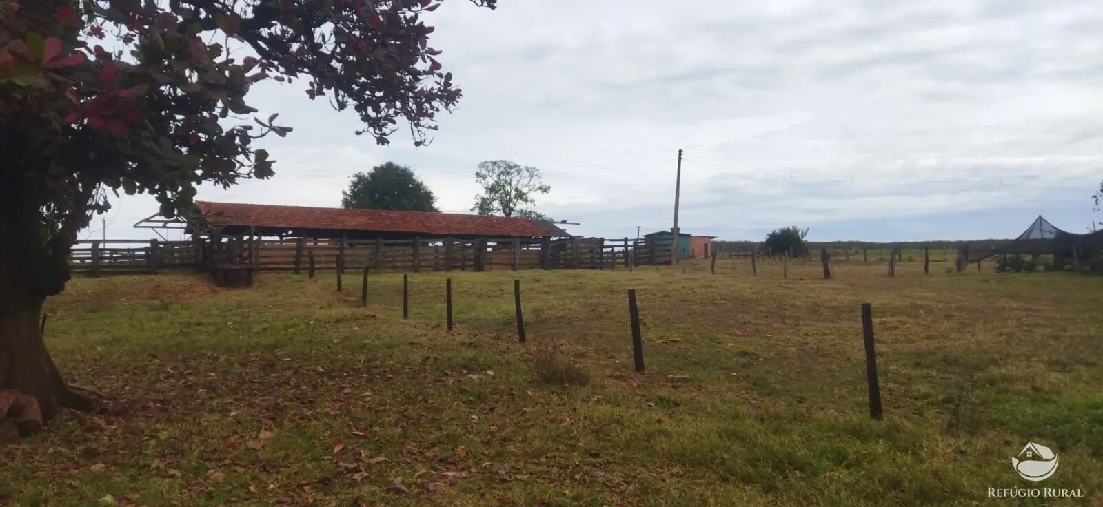 Farm for sale of 354,013 acres in Frutal, MG, Brazil