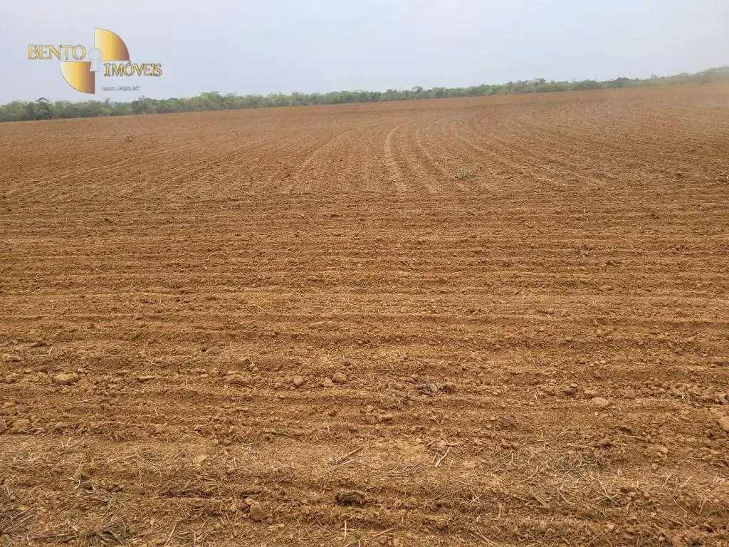 Fazenda à venda e para Arrendar de 555 ha em Paranatinga, MT, Brasil
