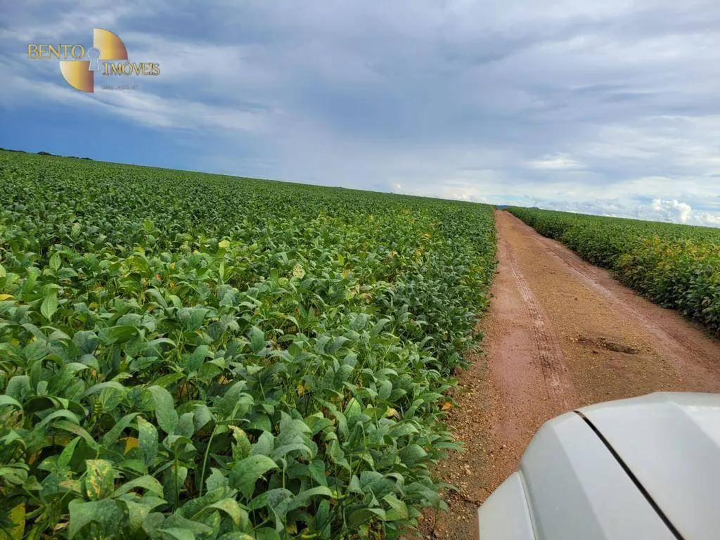 Fazenda à venda e para Arrendar de 555 ha em Paranatinga, MT, Brasil