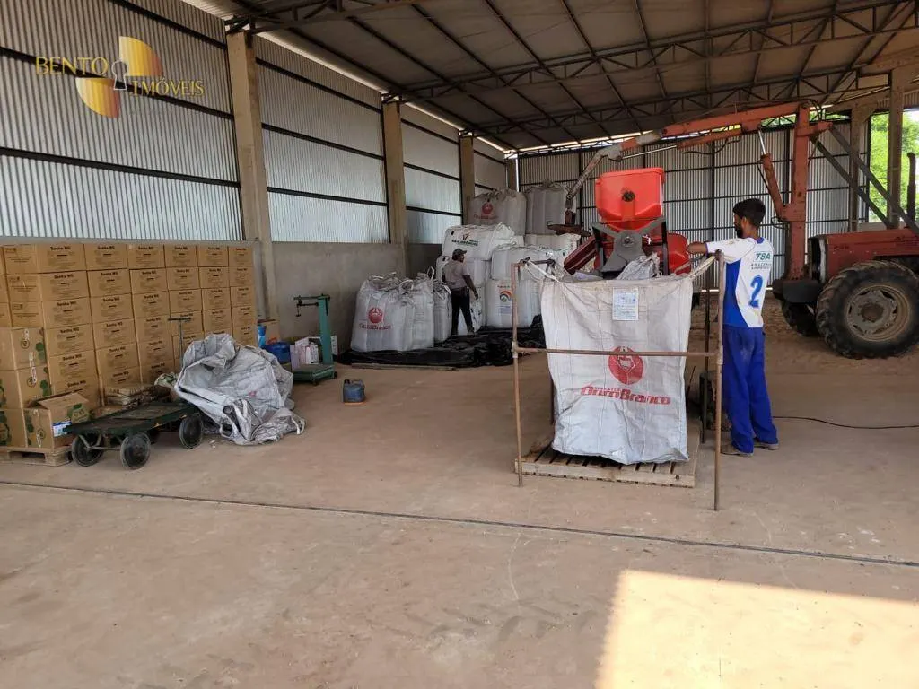 Fazenda à venda e para Arrendar de 555 ha em Paranatinga, MT, Brasil