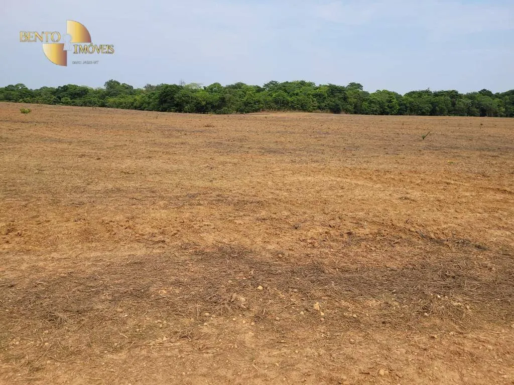 Fazenda à venda e para Arrendar de 555 ha em Paranatinga, MT, Brasil