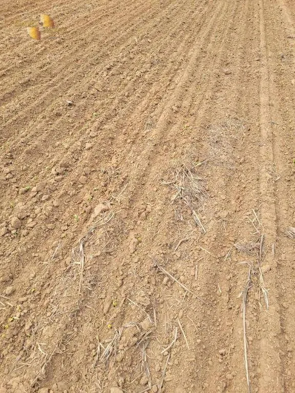 Fazenda à venda e para Arrendar de 555 ha em Paranatinga, MT, Brasil