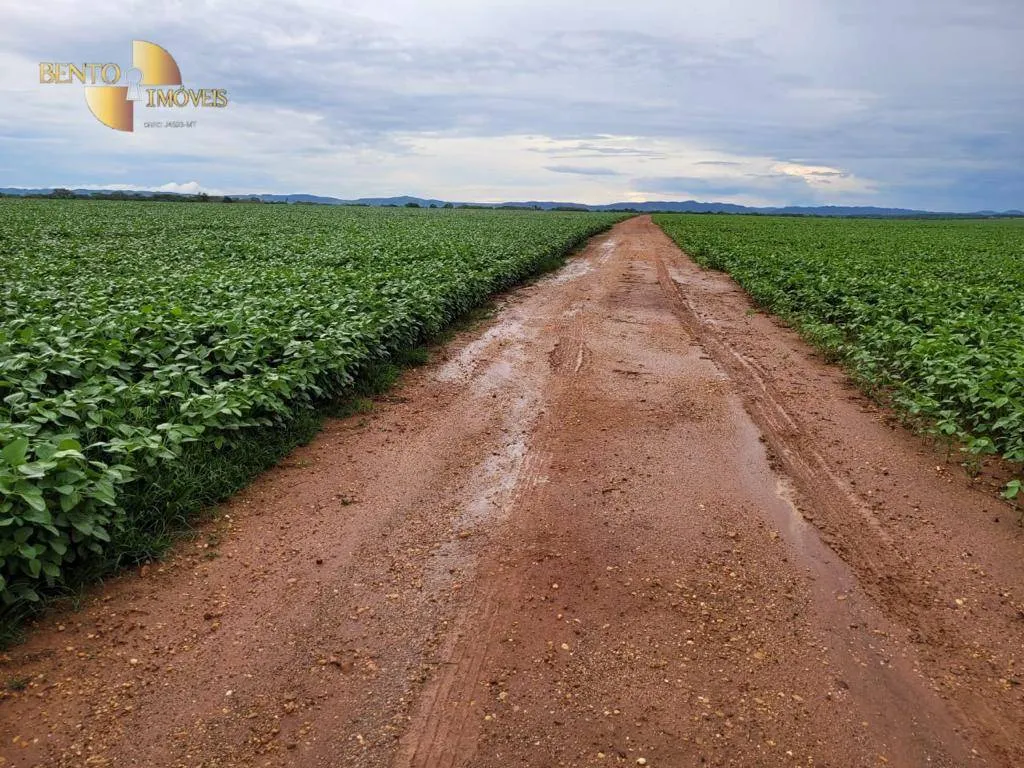 Fazenda à venda e para Arrendar de 555 ha em Paranatinga, MT, Brasil