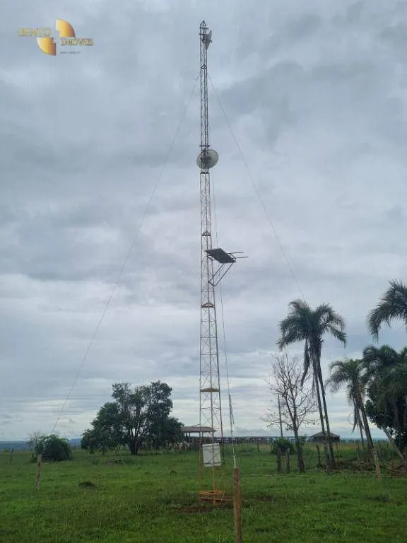 Fazenda à venda de 750 ha em Guiratinga, MT, Brasil