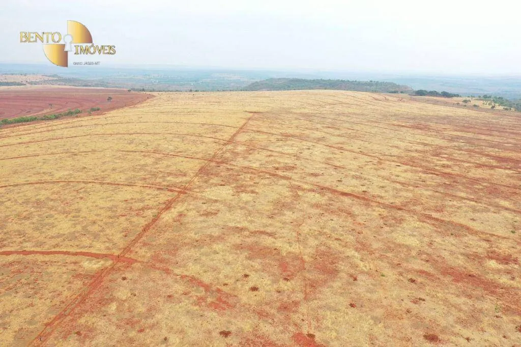 Fazenda à venda de 750 ha em Guiratinga, MT, Brasil