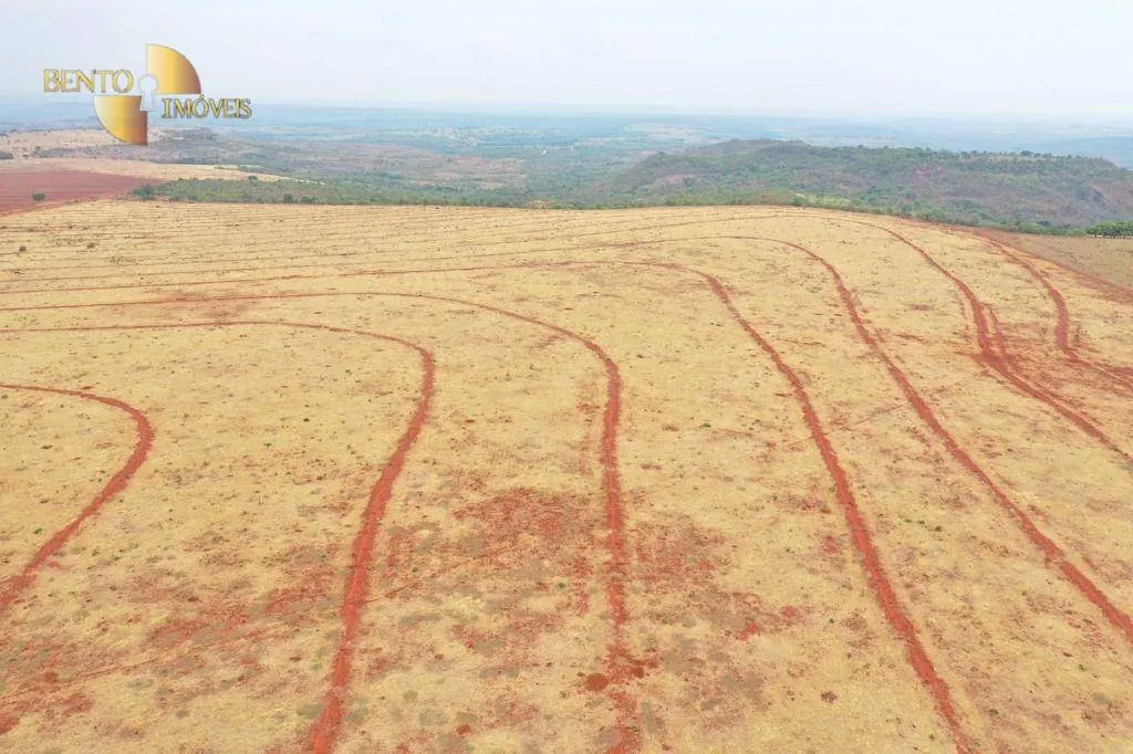 Fazenda à venda de 750 ha em Guiratinga, MT, Brasil