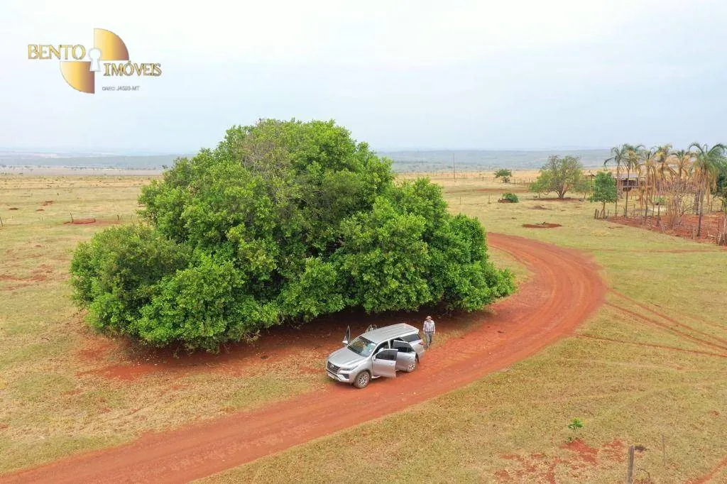 Fazenda à venda de 750 ha em Guiratinga, MT, Brasil
