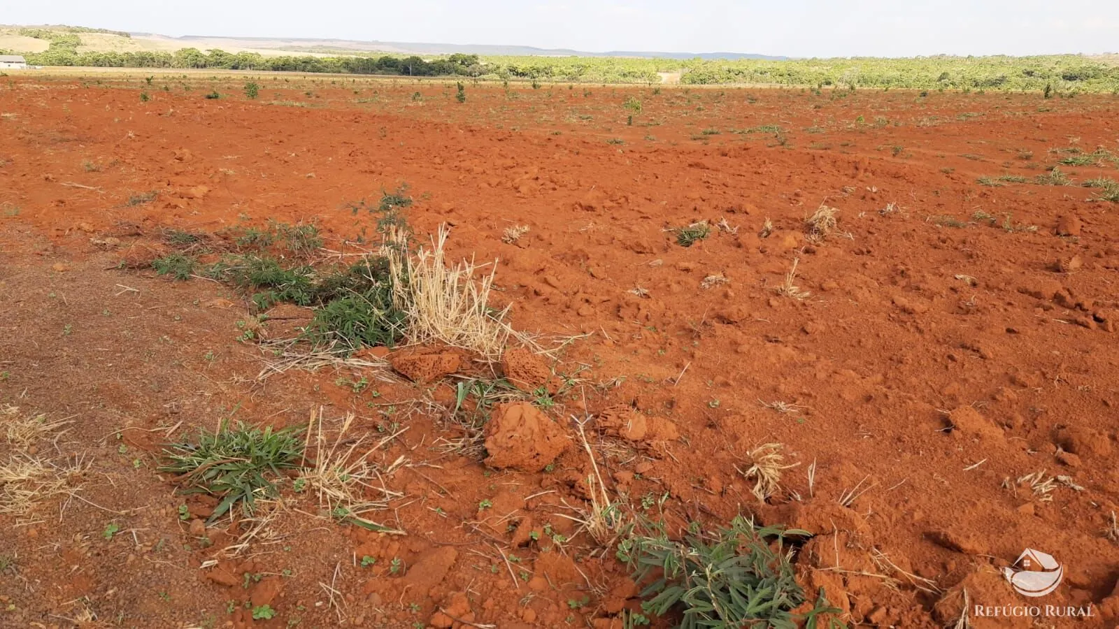 Fazenda à venda de 1.034 ha em Campinápolis, MT, Brasil