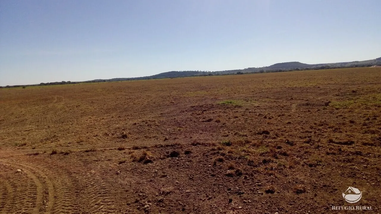 Fazenda à venda de 1.034 ha em Campinápolis, MT, Brasil