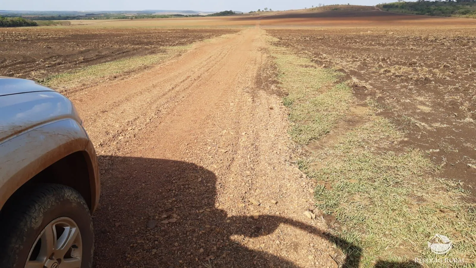 Fazenda à venda de 1.034 ha em Campinápolis, MT, Brasil
