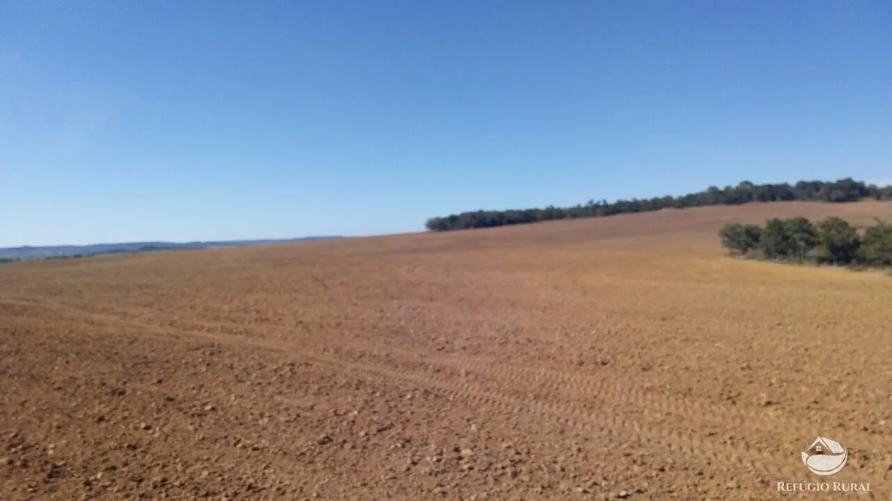 Fazenda à venda de 1.034 ha em Campinápolis, MT, Brasil