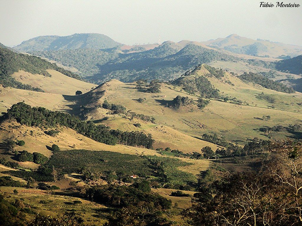 Fartura